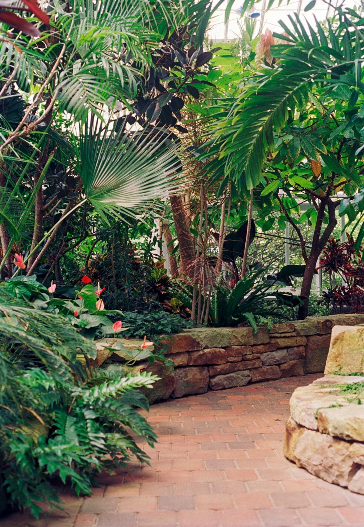 A brick path winding through a lush tropical garden